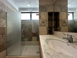 Villa Des Flores (D11), Condominium #584353081